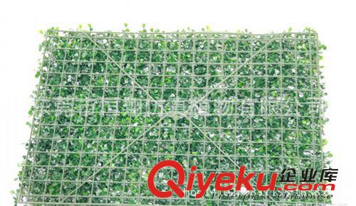仿真植物墻 仿真植物墻 酒店會所商場原生態(tài)植物墻　各種仿真植物廠家直銷原始圖片3