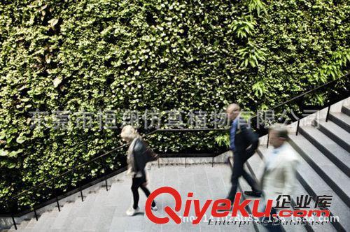仿真植物墻 植物墻 gd餐館仿真植物墻 gf真植物背景墻 廠家直銷