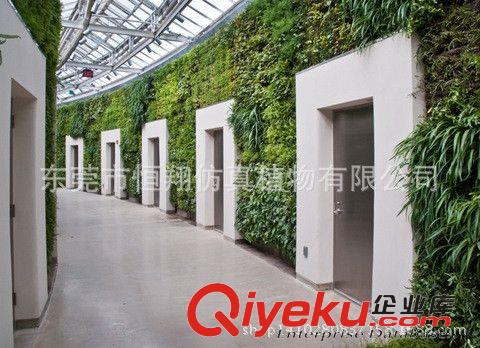 仿真植物墻 東莞仿真植物 熱帶雨林仿真植物墻 各種景觀園林設計生產