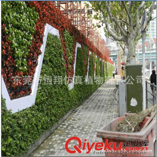 仿真植物墻 仿真植物 米蘭草植物墻定做  各種熱帶風格人造植物墻 廠家直銷原始圖片2