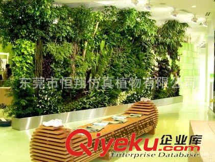 仿真植物墻 恒翔仿真植物 gf真植物墻 亞熱帶植物墻  室內外裝飾工程