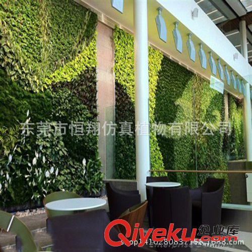 仿真植物墻 廠家直銷仿真植物墻  各種植物墻工程 尤加利植物墻配件原始圖片2