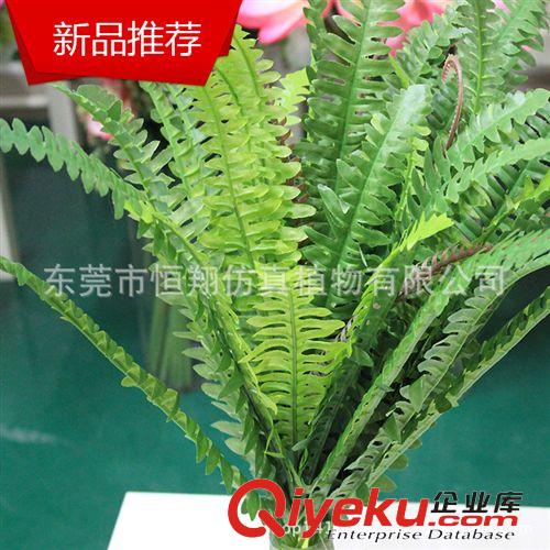 仿真植物墻 廠家直銷仿真植物墻  各種植物墻工程 尤加利植物墻配件