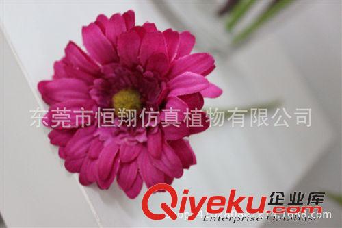 仿真花系列 仿真植物 非洲菊  把束雙色非洲菊 熱銷款菊花 婚慶用品原始圖片2