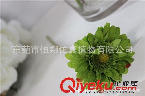 仿真花系列 仿真植物 非洲菊  把束雙色非洲菊 熱銷款菊花 婚慶用品原始圖片3