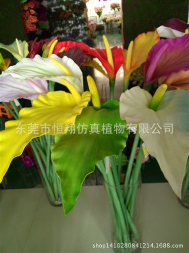 仿真花系列 東莞廠家直銷(xiāo) 新款單枝仿真荷花 超逼真桿PU手感葉  各種PI花直銷(xiāo)