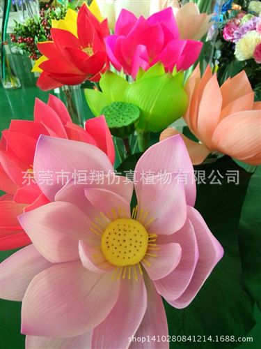 仿真花系列 仿真植物 澳洲馬蹄蓮 高檔PU手感仿真植物 大量批發(fā)仿真植物