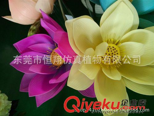 仿真花系列 東莞廠家直銷(xiāo) 新款單枝仿真荷花 超逼真桿PU手感葉  各種PI花直銷(xiāo)原始圖片2
