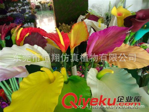仿真花系列 仿真植物 澳洲馬蹄蓮 高檔PU手感仿真植物 大量批發(fā)仿真植物原始圖片2