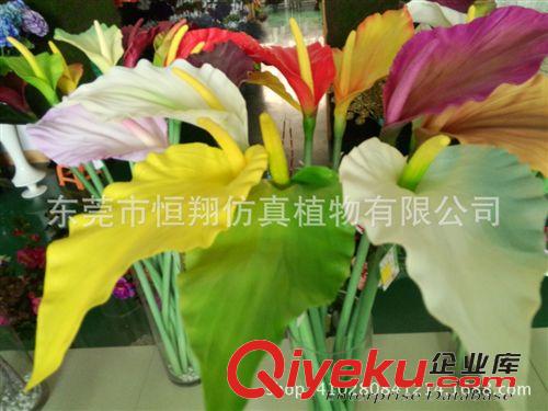 仿真花系列 仿真植物 澳洲馬蹄蓮 高檔PU手感仿真植物 大量批發(fā)仿真植物原始圖片3