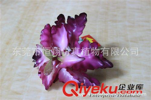 小樹(shù)系列 熱銷熱帶植物 綠色沙漠花 超仿真各種多肉植物 帶根手感沙漠花