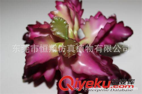 小樹系列 仿真植物 工藝盆栽大葉蘇鐵30葉 蘇鐵葉  各種仿真盆栽