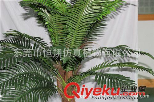 小樹系列 仿真植物 工藝盆栽大葉蘇鐵30葉 蘇鐵葉  各種仿真盆栽原始圖片3