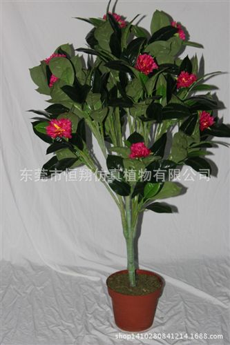 小樹系列 廠家直銷馬蹄蓮 各種盆栽家居擺設 外貿出口仿真植物