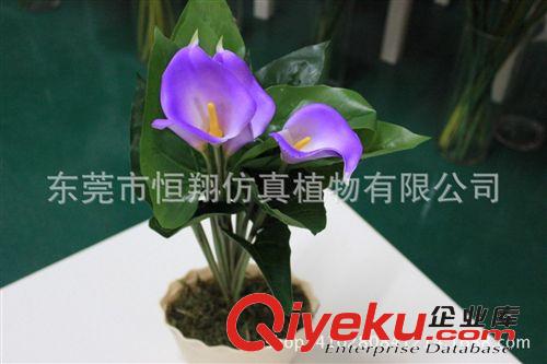 小樹系列 廠家直銷仿真植物 開門紅 家居裝飾鴻運當頭 婚慶用品裝飾