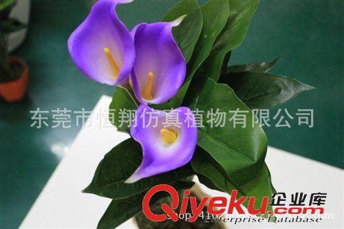 小樹系列 廠家直銷馬蹄蓮 各種盆栽家居擺設 外貿出口仿真植物原始圖片3