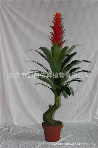 小樹系列 廠家專業制作仿真盆栽 三桿萬年青 專業仿真植物廠家 售后保障