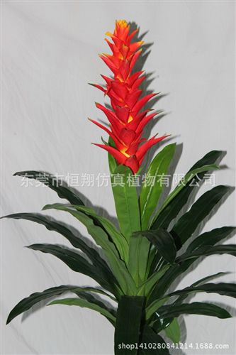 小樹系列 廠家直銷仿真植物 開門紅 家居裝飾鴻運當頭 婚慶用品裝飾原始圖片2