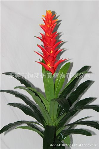小樹系列 廠家直銷仿真植物 開門紅 家居裝飾鴻運當頭 婚慶用品裝飾原始圖片3