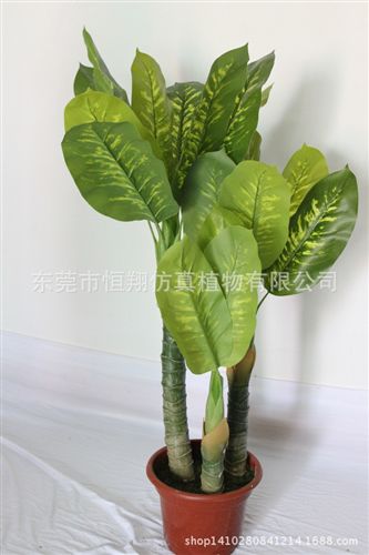 小樹系列 廠家直銷仿真植物 招財樹 仿真發財樹 婚慶用品 各種高度發財樹