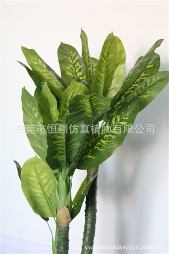 小樹系列 廠家專業制作仿真盆栽 三桿萬年青 專業仿真植物廠家 售后保障原始圖片2