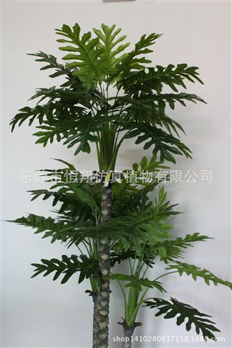 小樹系列 廠家直銷仿真植物 招財樹 仿真發財樹 婚慶用品 各種高度發財樹原始圖片3