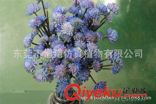 小樹系列 廠家直銷仿真植物 6頭石蓮 石蓮多肉植物 各種植物墻配件原始圖片2