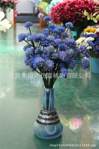 小樹系列 廠家直銷仿真植物 6頭石蓮 石蓮多肉植物 各種植物墻配件原始圖片3