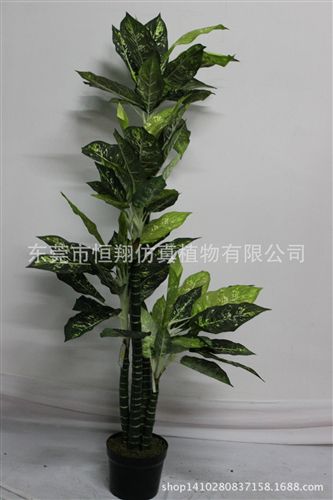 小樹系列 仿真植物 仿真發財樹 巴西鐵 婚慶用品 各種高度仿真盆栽定做原始圖片2