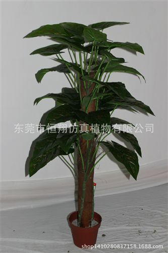 小樹系列 仿真植物 仿真發財樹 巴西鐵 婚慶用品 各種高度仿真盆栽定做原始圖片3