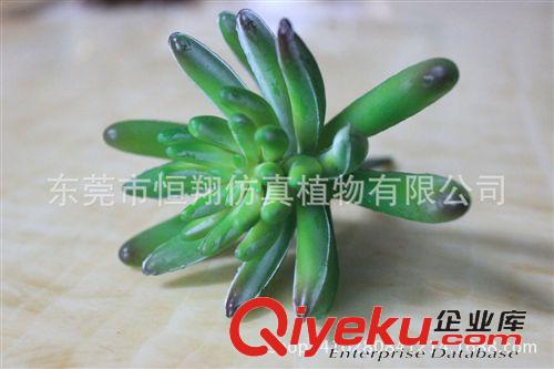 工程案例 仿真植物 大王椰子樹  各種大型仿真樹 仿真椰子樹 廠家直銷