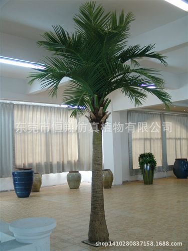 工程案例 仿真植物 室內大型椰子樹  各種大型仿真樹 仿真椰子樹 廠家直銷