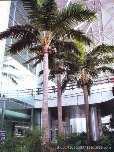 工程案例 仿真植物 室內大型椰子樹  各種大型仿真樹 仿真椰子樹 廠家直銷原始圖片2