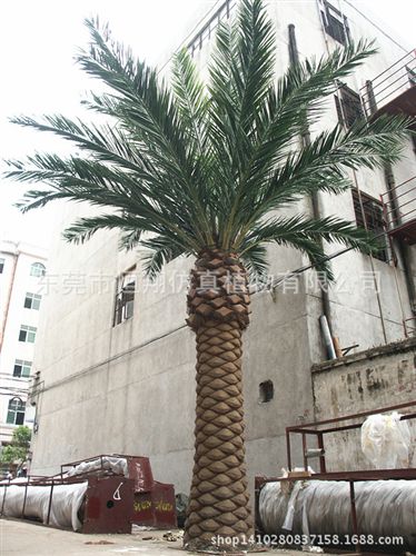工程案例 仿真植物 室內(nèi)大型綠色植物  各種大型仿真樹 各種仿真椰子樹