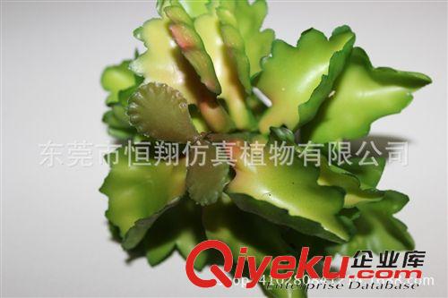 仙人掌系列 仿真多肉植物 超逼真手感 仿真植物綠色沙漠花 迷你小植物盆栽原始圖片2