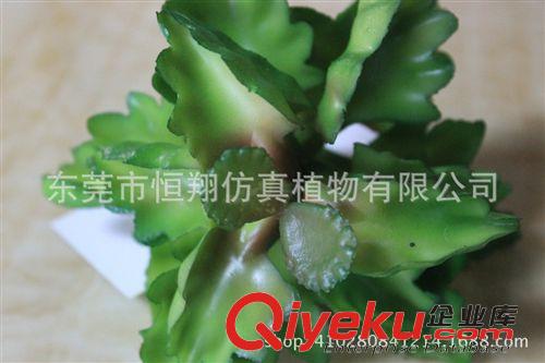 仙人掌系列 仿真多肉植物 超逼真手感 仿真植物綠色沙漠花 迷你小植物盆栽原始圖片3