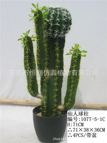 仙人掌系列 仿真多肉植物 超逼真手感 仿真植物綠色沙漠花 迷你小植物盆栽