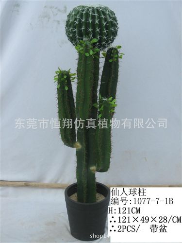 仙人掌系列 仿真植物多肉植物定做 沙漠植物各種規格仙人球仙人掌 廠家直銷原始圖片2