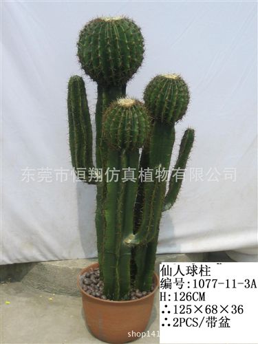 仙人掌系列 仿真植物多肉植物定做 沙漠植物各種規格仙人球仙人掌 廠家直銷原始圖片3
