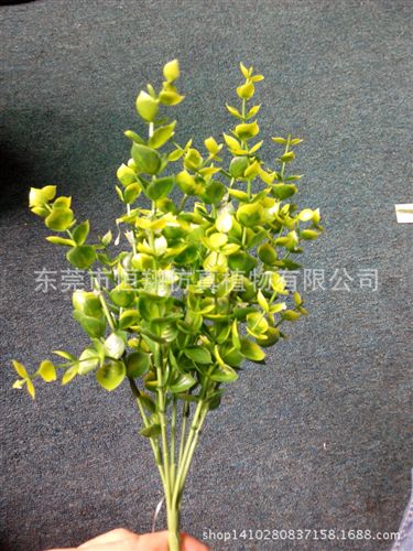 植物墻配件 廠家直銷金錢草 仿真植物批發(fā) 7叉尤加利把束 仿真植物配件原始圖片3