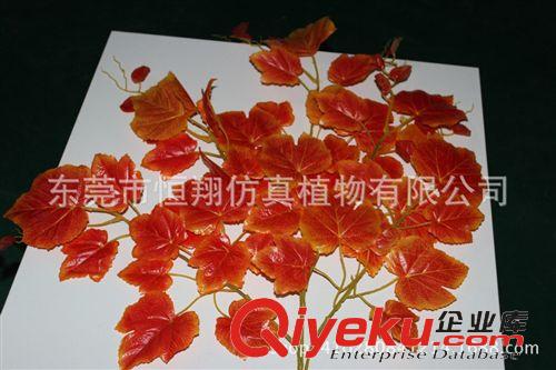植物墻配件 廠家直銷金錢草  尤加利草 大葉7叉尤加利把束 各種仿真植物