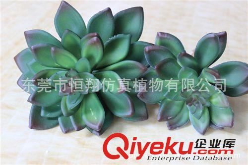 植物墻配件 阿里熱銷(xiāo) 仿真沙漠多肉植物觀音蓮 外貿(mào)高檔仿真植物 熱賣(mài)原始圖片3