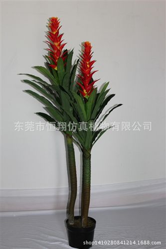 植物墻配件 阿里熱銷(xiāo) 仿真沙漠多肉植物觀音蓮 外貿(mào)高檔仿真植物 熱賣(mài)