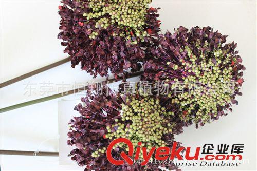 植物墻配件 2014新款仿真花精品 東莞廠(chǎng)家批發(fā) 立體植物大圓球 顏色可定制原始圖片2