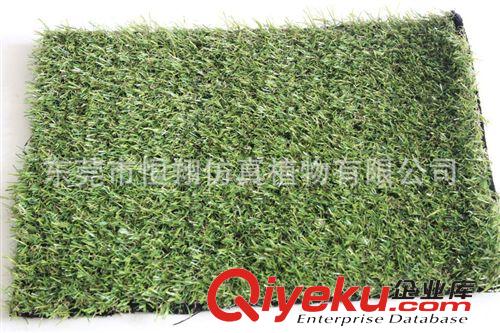 植物墻配件 運(yùn)動(dòng)草皮  運(yùn)動(dòng)場(chǎng)休閑人造草坪 足球場(chǎng)各種規(guī)格人造草皮原始圖片3