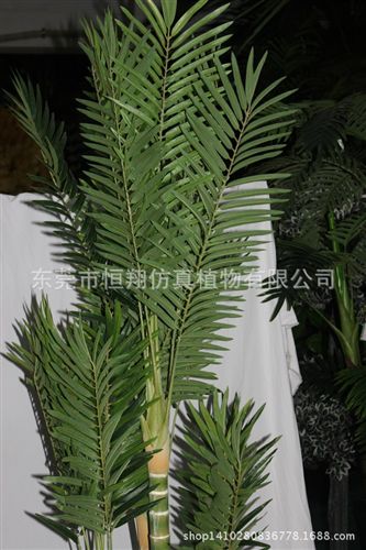 植物墻配件 廠家直銷仿真植物 青苔  各種規(guī)格形狀青苔苔蘚 DIY微景觀