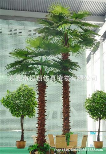LED仿真樹 廠家直銷仿真蒲葵 老人葵 棕櫚樹  皇后葵 各種室內外裝飾葵扇樹