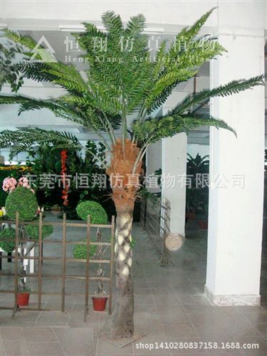 仿真桫欏樹 桫欏樹 各種規格仿真桫欏樹  恐龍館造景熱銷樹 廠家直銷