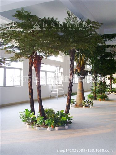 仿真桫欏樹 恒翔仿真植物 桫欏樹  仿真桫欏樹系列 各種景觀工程仿真大樹原始圖片3