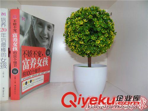 盆景 家居裝飾壁掛藤條裝飾花籃/歐美風情/廠家大促銷
